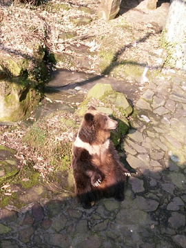 杭州动物园旅游景点攻略图