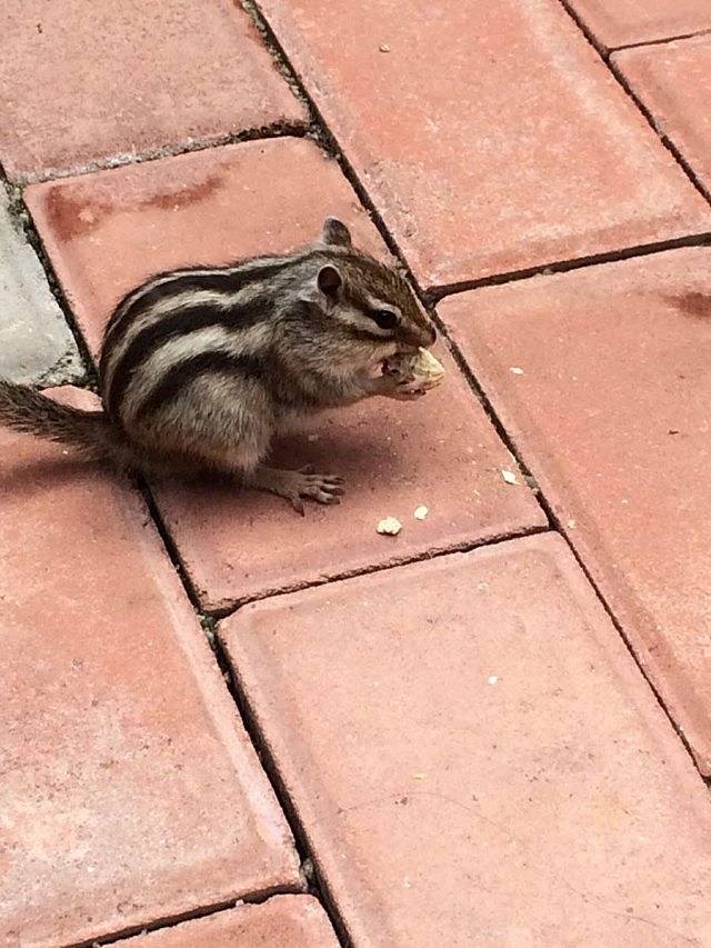 悦来亲子王国(悦盈新城店)