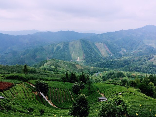 "_仙人山景区"的评论图片