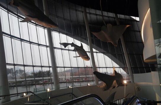 一山Aqua Planet水族馆