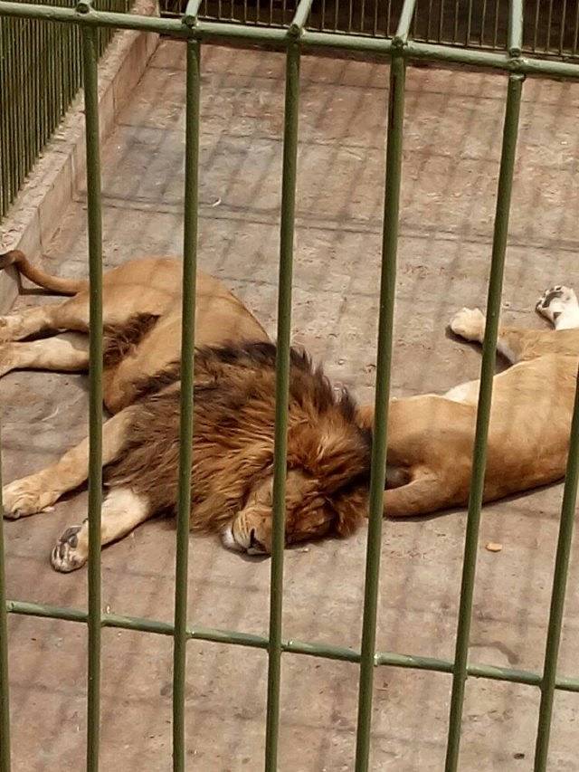 华东百畅生态休闲度假园