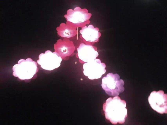 《梦幻沱江篝火晚会》演出