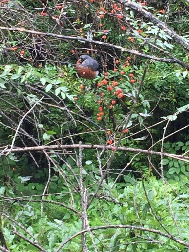 五龙山旅游风景区