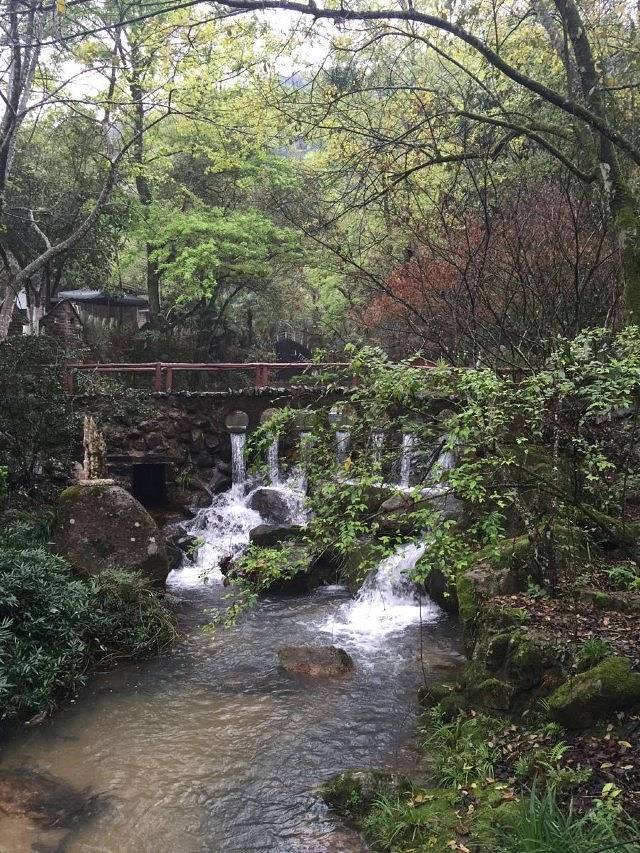 龙岩东肖森林公园