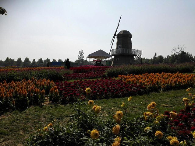 "...花和秋果的海洋，处处好风光，让人心情舒畅、心旷神怡，空气非常好，有孩子喜欢的喂小动物和游艺项目_怪石洞"的评论图片