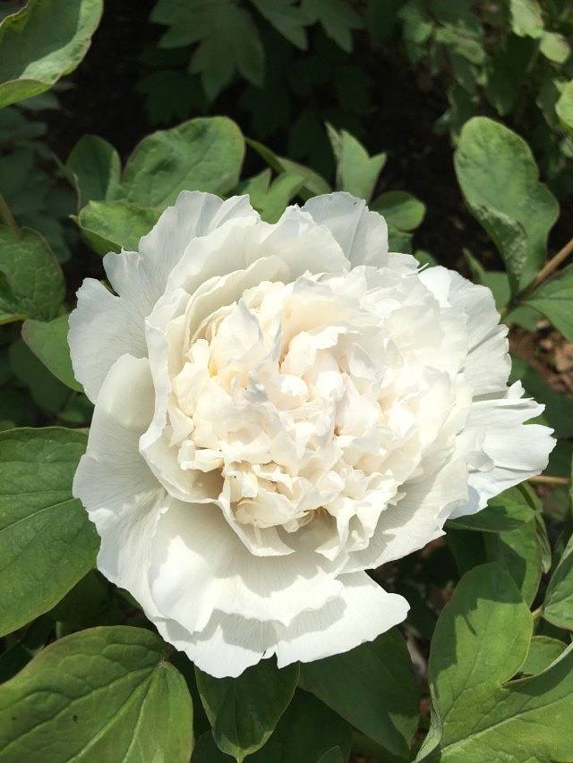 哈密赏石文化博物馆