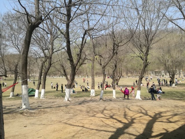 高尔山冰雪大世界