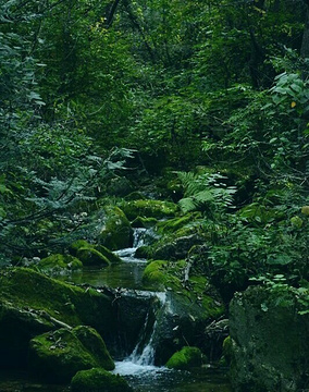 中坝大峡谷旅游景点攻略图