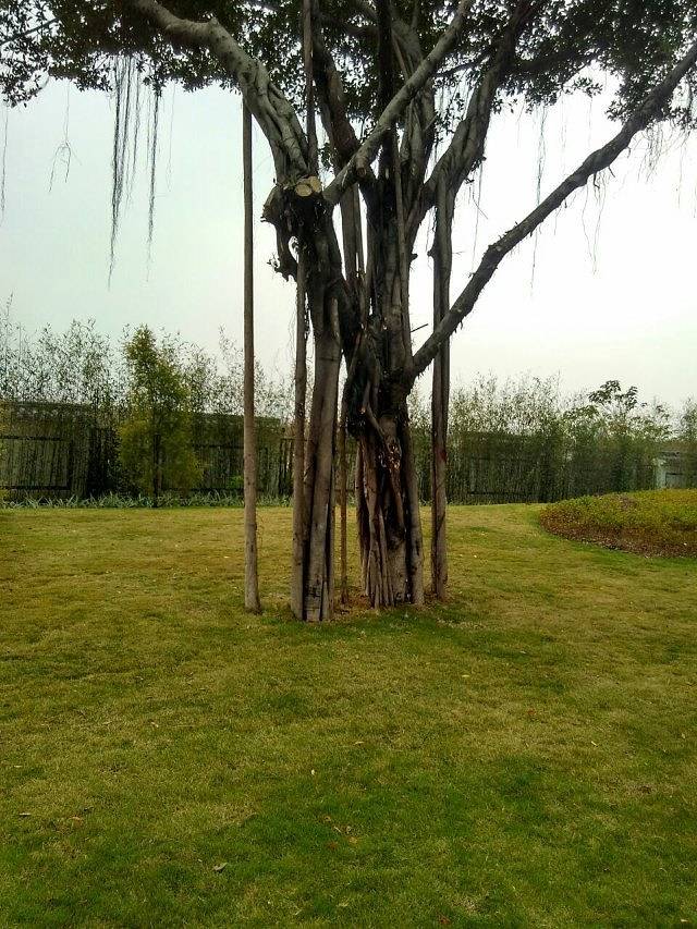 东方夏湾拿酒店温泉