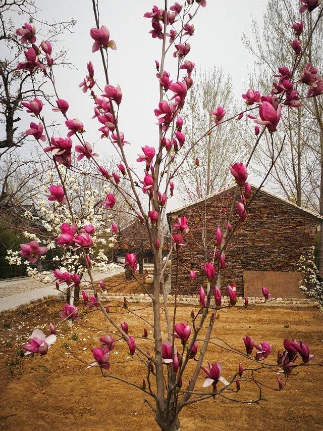 神湖四季生态园