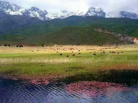 洛克旧居陈列馆旅游景点攻略图