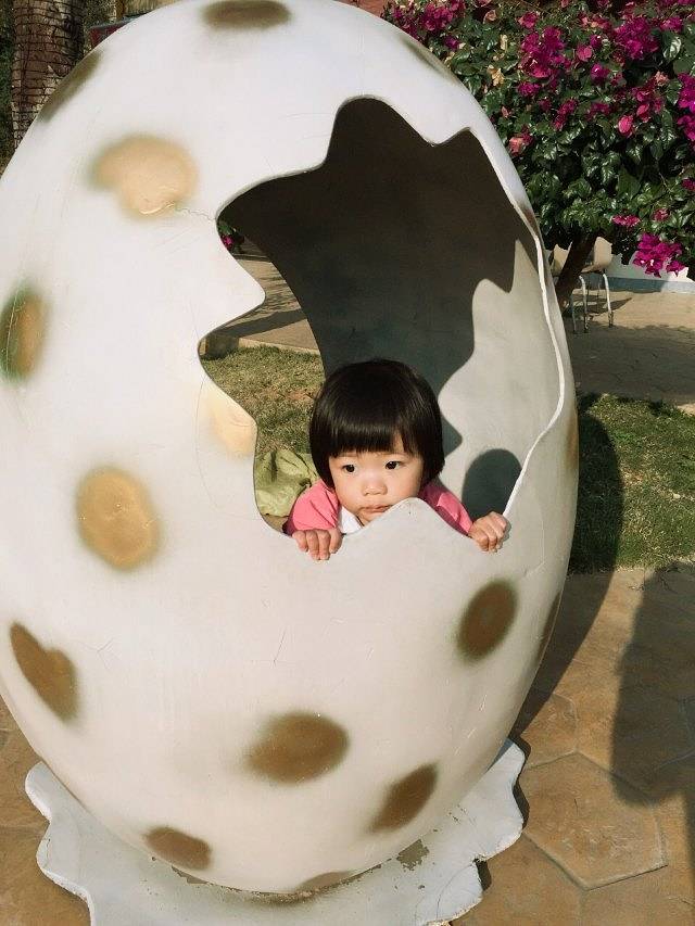 WOW芒果口袋乐园