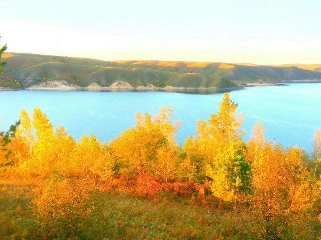 红花尔基樟子松国家森林公园