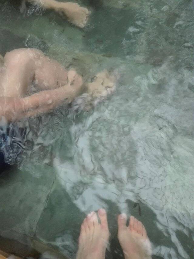 鸡公山依云森林温泉