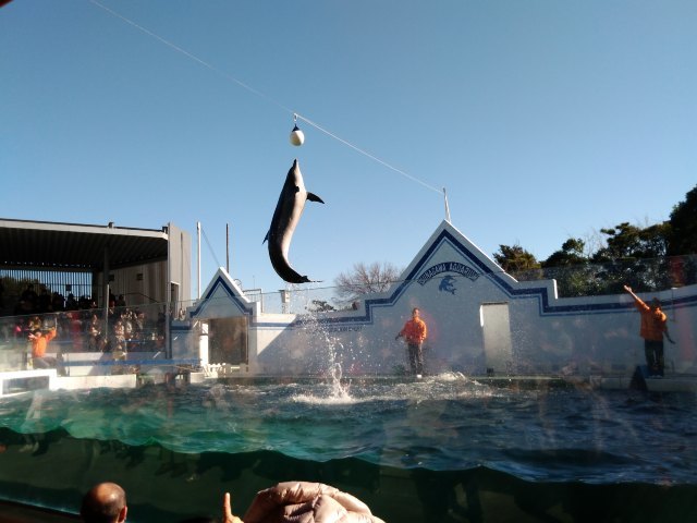 品川麦克赛尔水族馆
