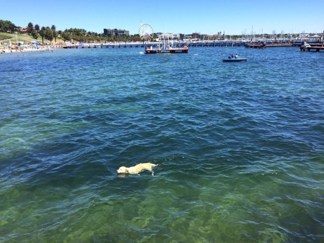 奥特韦树顶漫步