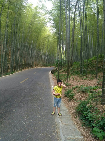 "不错，建议上山走路下山缆车，下山台阶比较坑脚，还有中途休息的凉亭太少且中间没有提供冷饮的地方，..._宜兴竹海"的评论图片