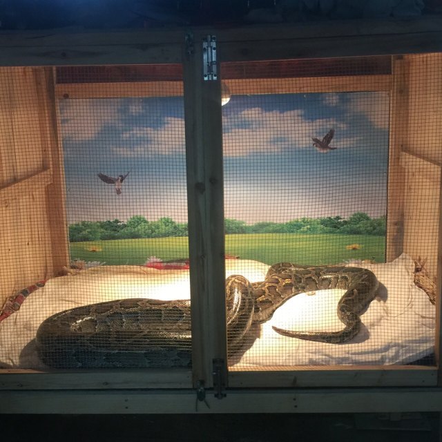 三峡森林野生动物世界