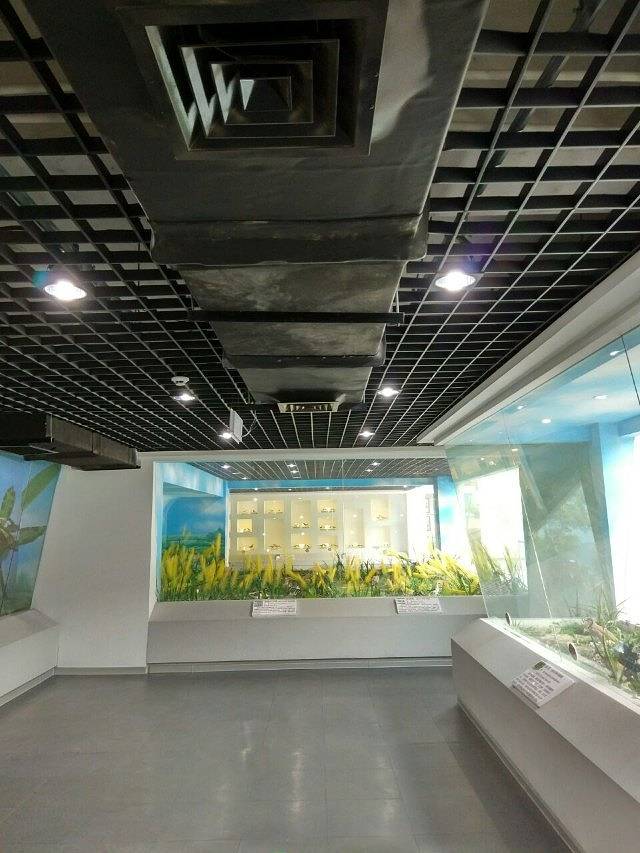 青岛滨海学院世界动物自然生态博物馆