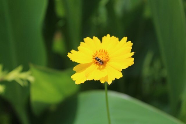 汀江国家湿地公园