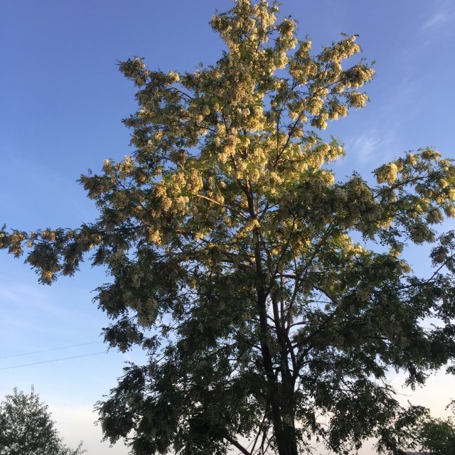 陕西洛川黄土国家地质公园