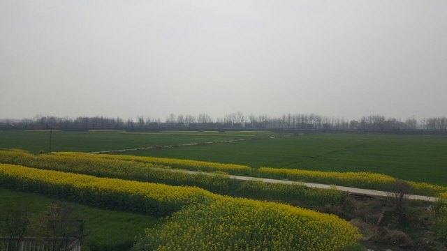 岐山周公庙景区