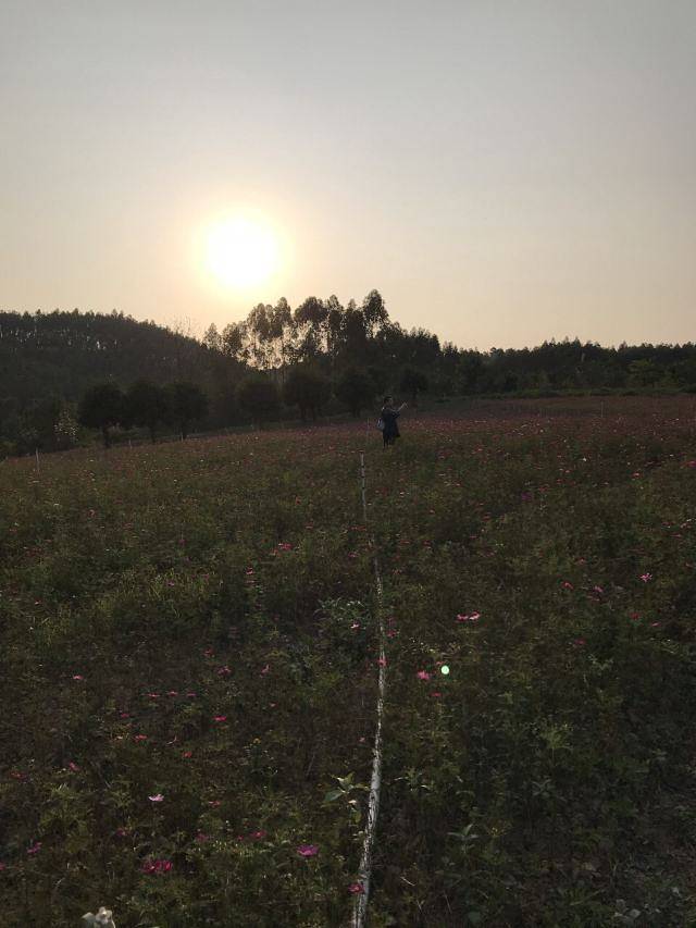 南宁花雨湖生态休闲旅游区