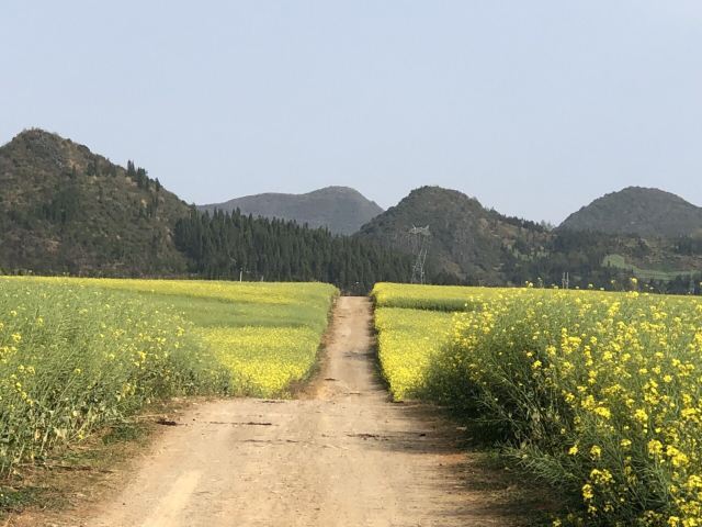 罗平航空露营地