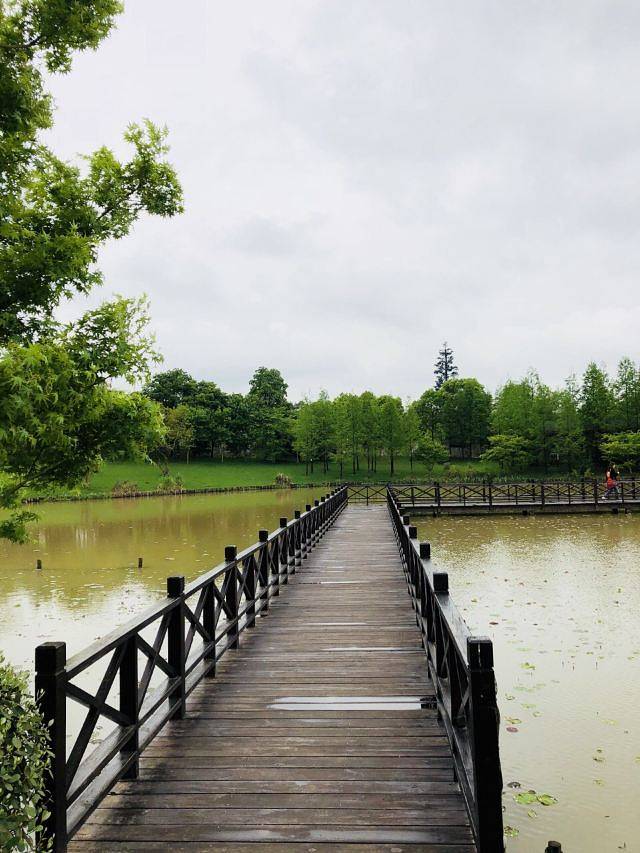 龙虎山花语世界景区