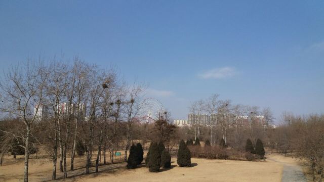 保定植物园滑雪场