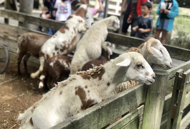 柳岸野生动物保护区
