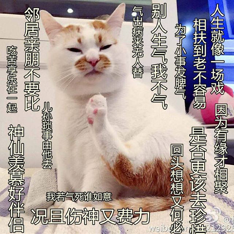 卖东西的也无非就是那几样.但是管理一般般.总结一点就是,吃相太难看