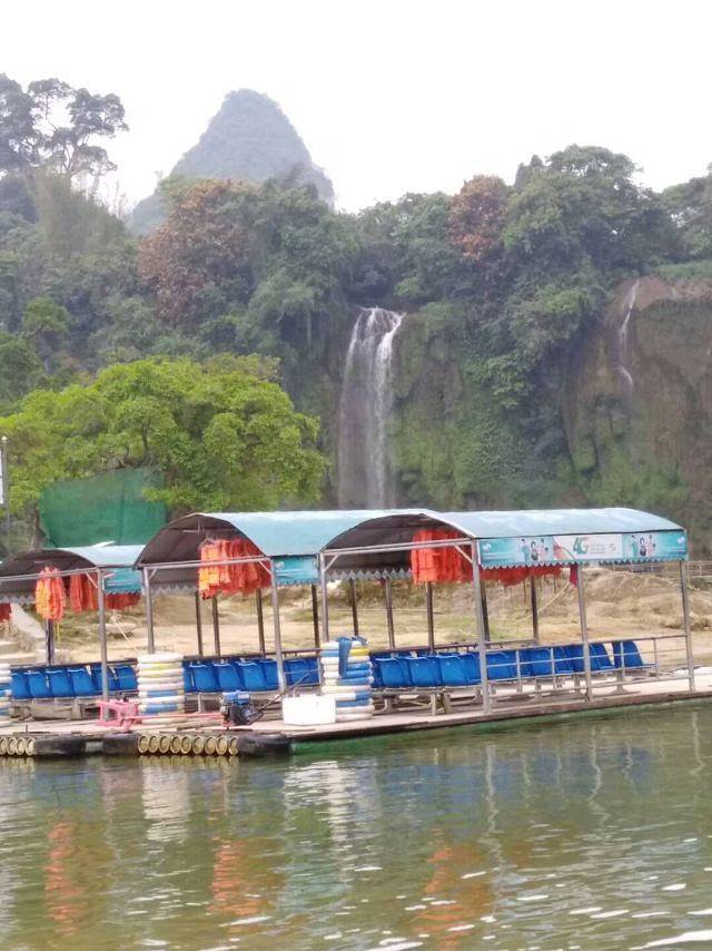 大王岭原始森林