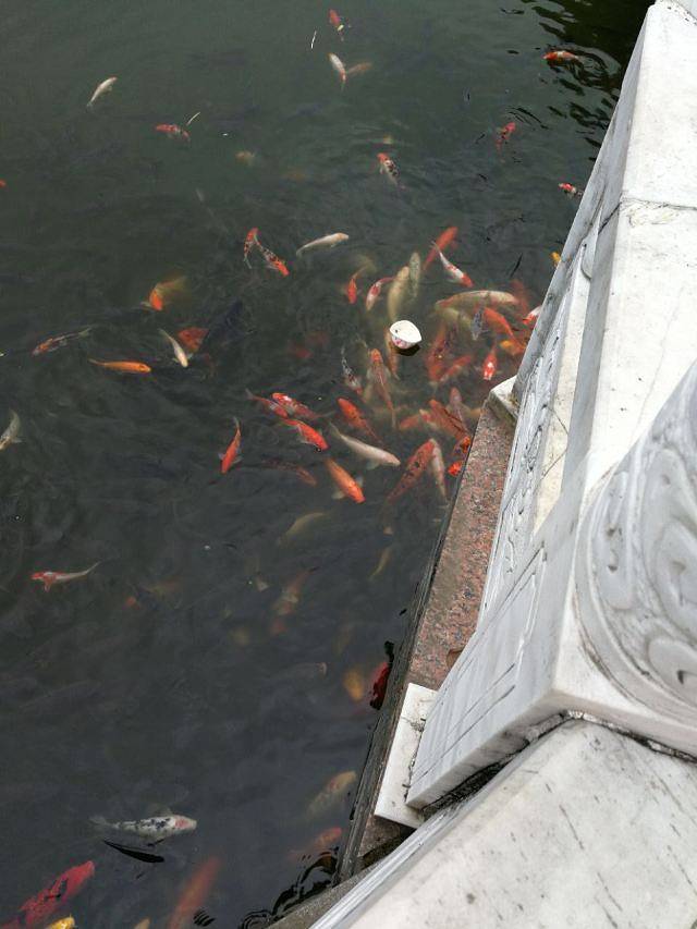 九岭森林温泉度假村