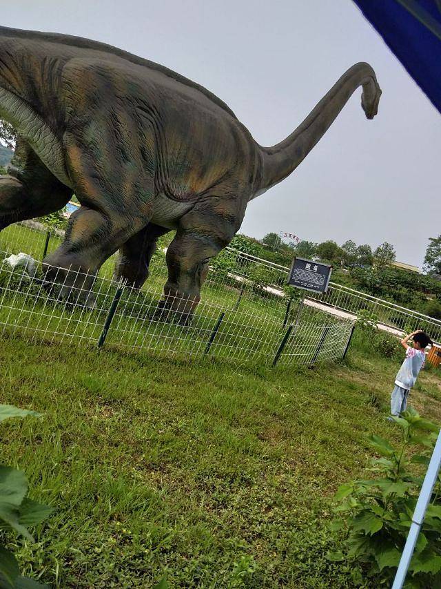 百万玫瑰成长田园