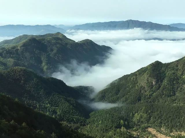 "因独特的自然景观，名列安徽省三大名山之一（黄山、九华山、天柱山）_天柱山"的评论图片