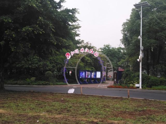 “珠江红船”号游船