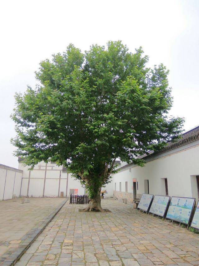 杨柳村明清古建筑群