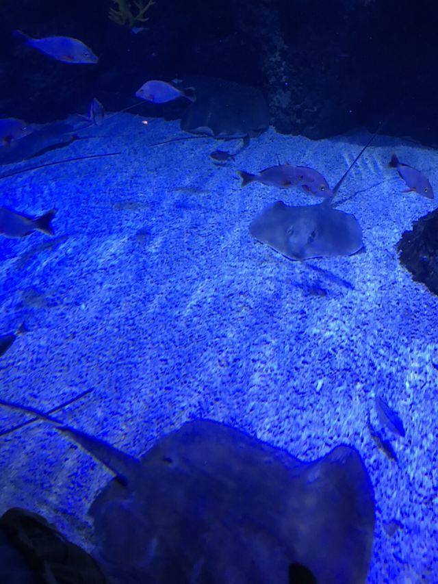 江西瑞金九丰极地海洋世界