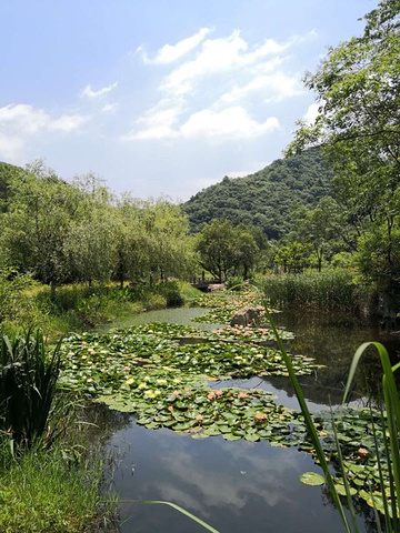 "_姚家山风景区"的评论图片