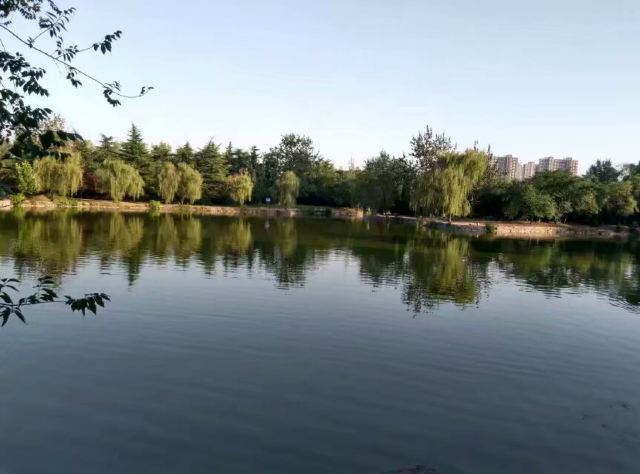 渭滨公园