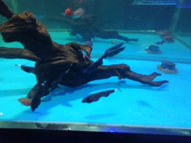 云龙湖水上世界