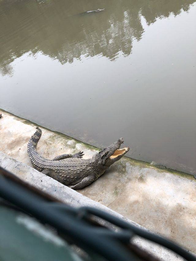 三水森林公园孔圣园