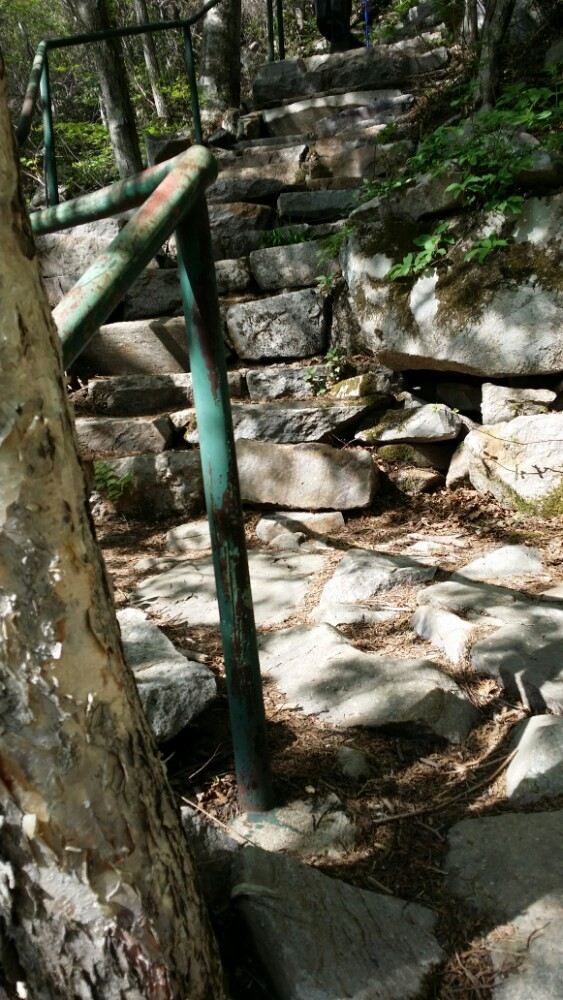 白鸡峰国家森林公园