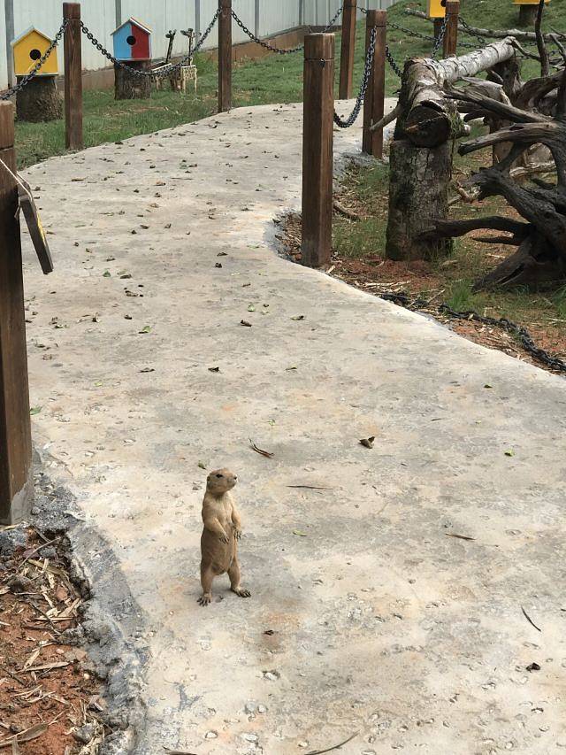 中国泰宁地质博物馆