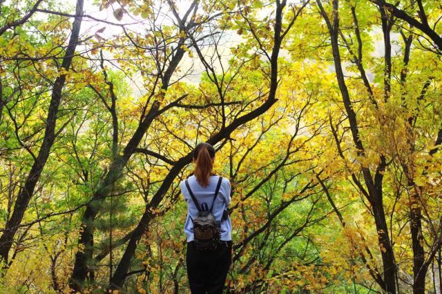 白草洼国家森林公园