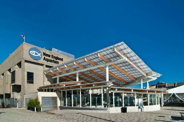 新英格兰水族馆