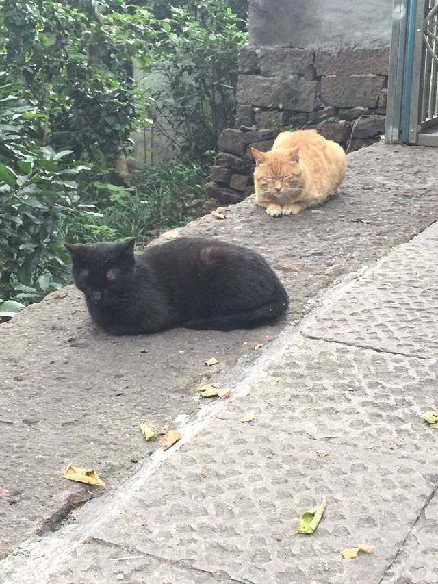 中国湿地博物馆