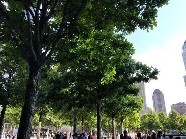 世界贸易中心一号大楼