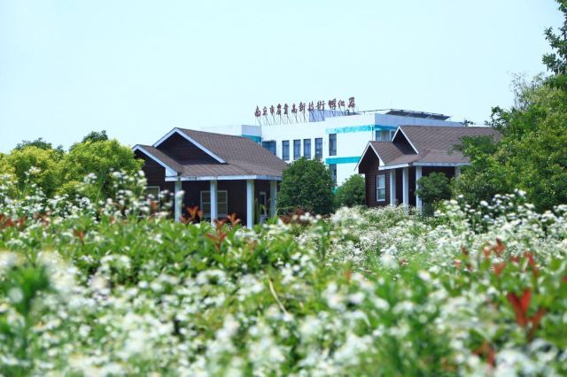 汤山翠谷现代农业示范园